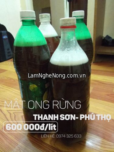 Mật ong rừng Thanh Sơn Phú Thọ - 600000