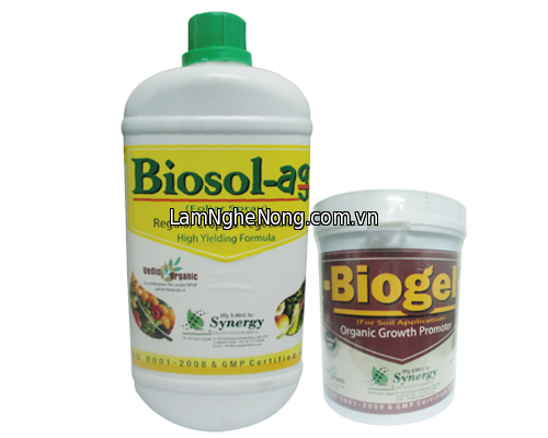 Biosol biogel giá 260k/1sp - 265.000 vnđ