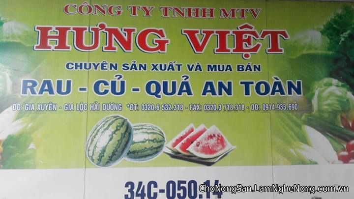 Công ty Hưng Việt chuyên cung cấp rau củ quả sạch - Liên hệ
