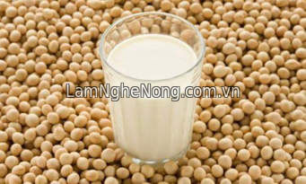 Cung cấp Hạt Đậu Nành không biến tính tại thị  trường Việt Nam(Non GMO) - 0941 827 959, 0916 854 588
