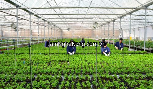 Cần kỹ sư nông nghiệp làm việc tại Hà Nội - Liên hệ